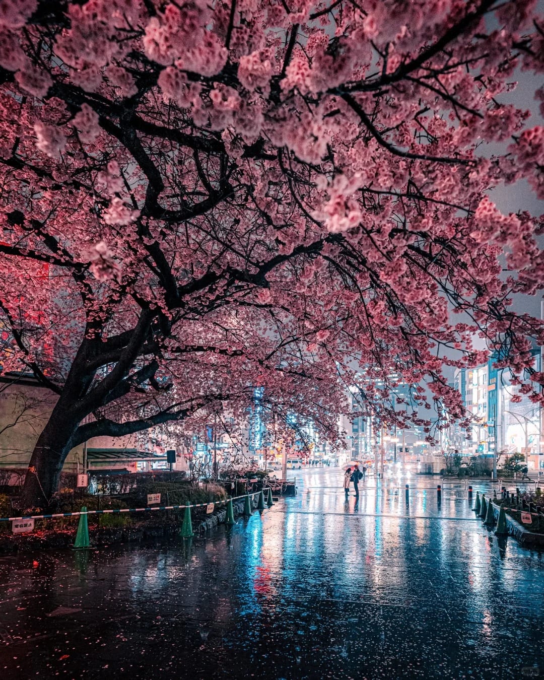 热带岛屿风光
